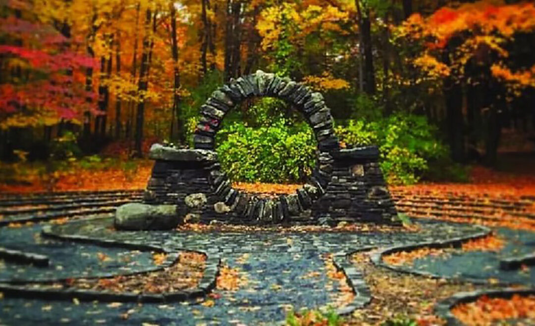 Embodying the Heart of Compassion:An Intensive Mindfulness Retreat